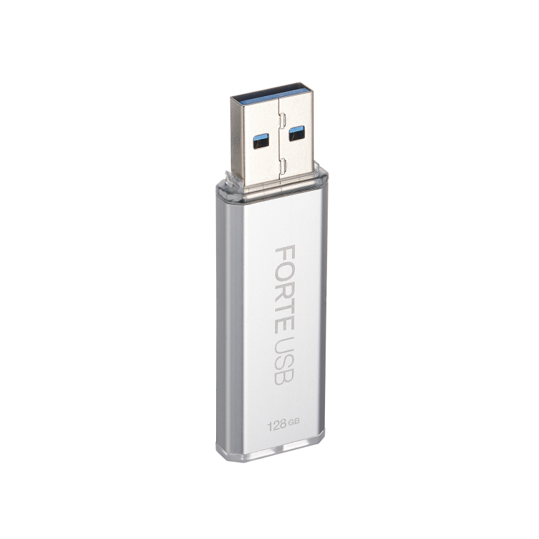 SecuX Forte USB флешка з шифруванням та паролем